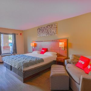 Oyo Hotel Brownsville Tn I-40